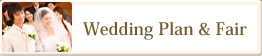 Wedding Plan Fair